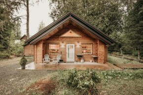 61MBR - Hot Tub - Wi-Fi - Pets Ok - Sleeps 6 home